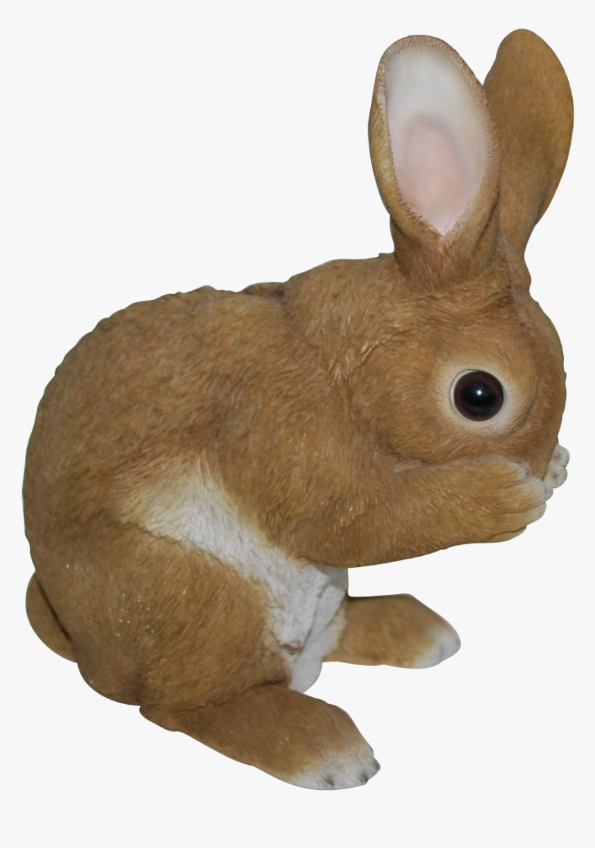 Rl Standing Rabbits D - Vivid Arts, HD Png Download