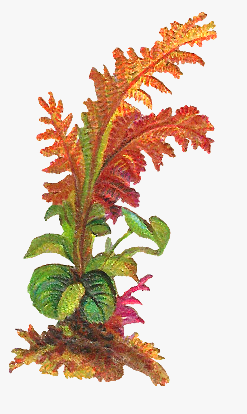 The Second Digital Leaves Download Is Also Designed - Obras De Arte Con Hojas De Plantas, HD Png Download