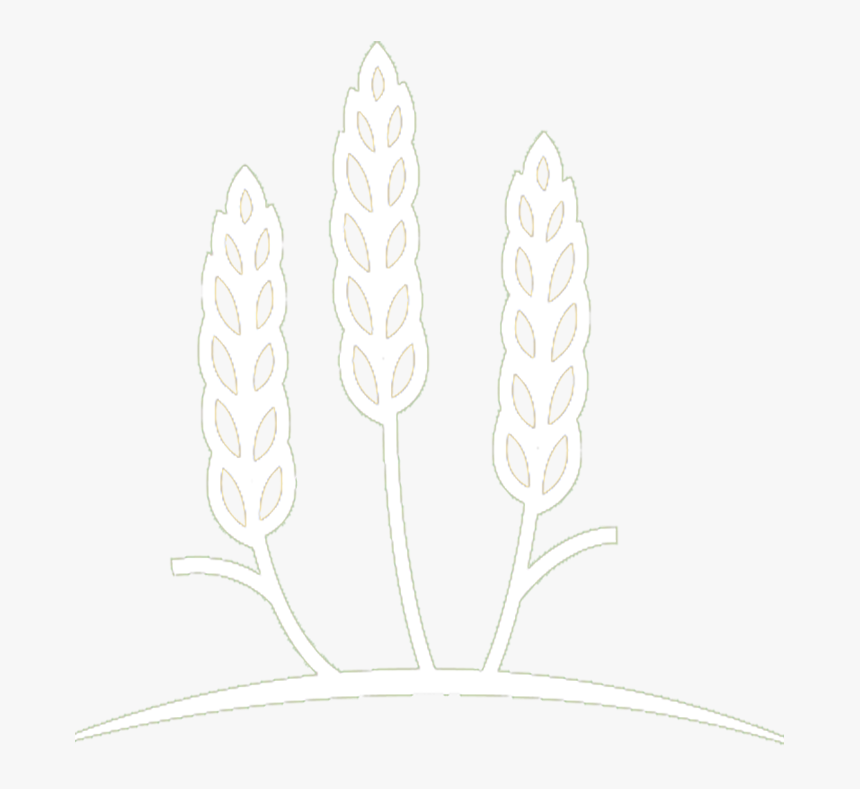 Emblem - Still Life Photography, HD Png Download