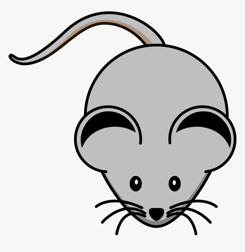 Grey Mouse Clipart, HD Png Download