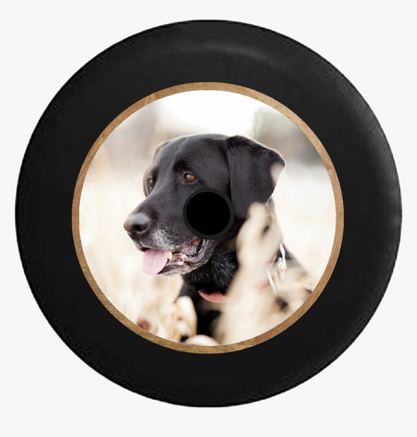 Jeep Wrangler Jl Backup Camera Black Lab Retriever - Hd Black Lab, HD Png Download