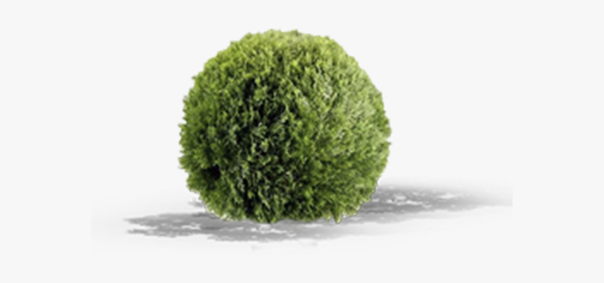 Artificial Topiary Bushes, HD Png Download