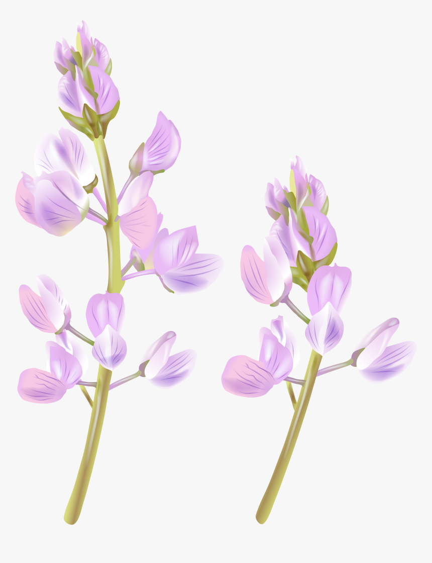 Wildflower Clipart Easter Flower, HD Png Download
