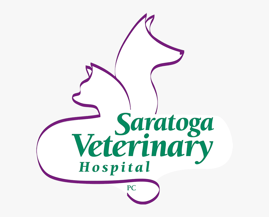 Logo White Background2 - Graphic Design, HD Png Download