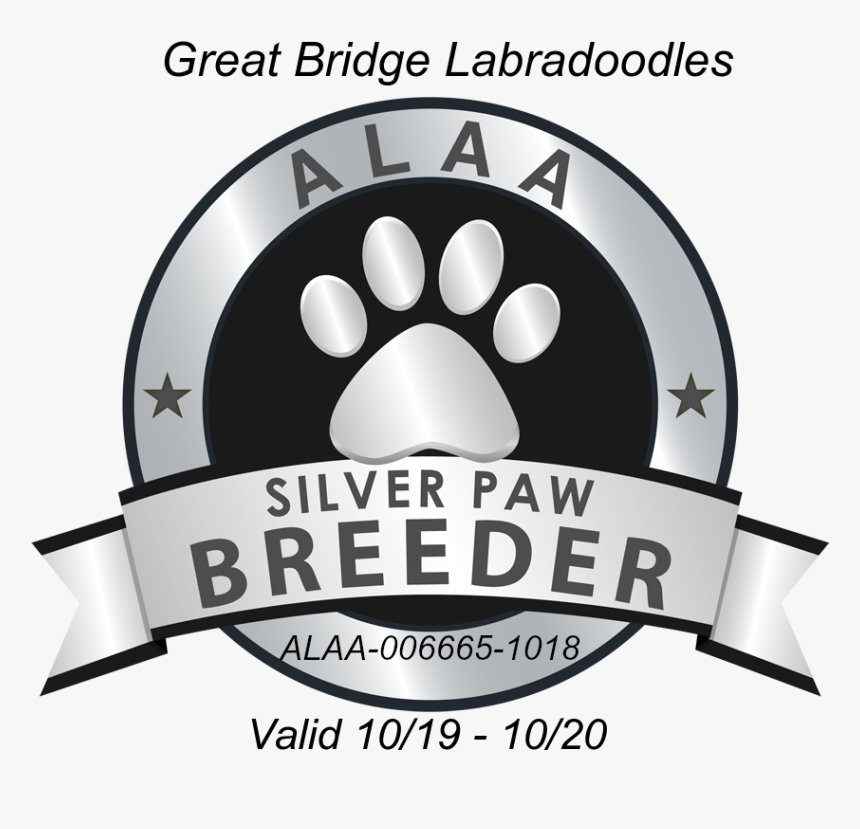 Great Bridge Alaa Silver Paw Logo 2019 - Gold Paw, HD Png Download