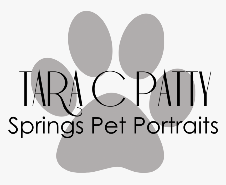 White Paw Png, Transparent Png
