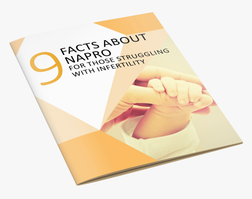 9 Facts About Napro Mockup - Book, HD Png Download