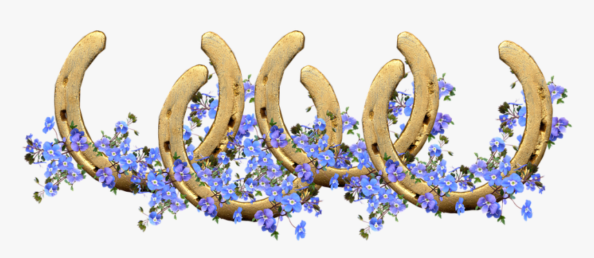 Horse Shoes, Lucky, Blue Flowers, Decoration, Symbol - Horseshoe, HD Png Download