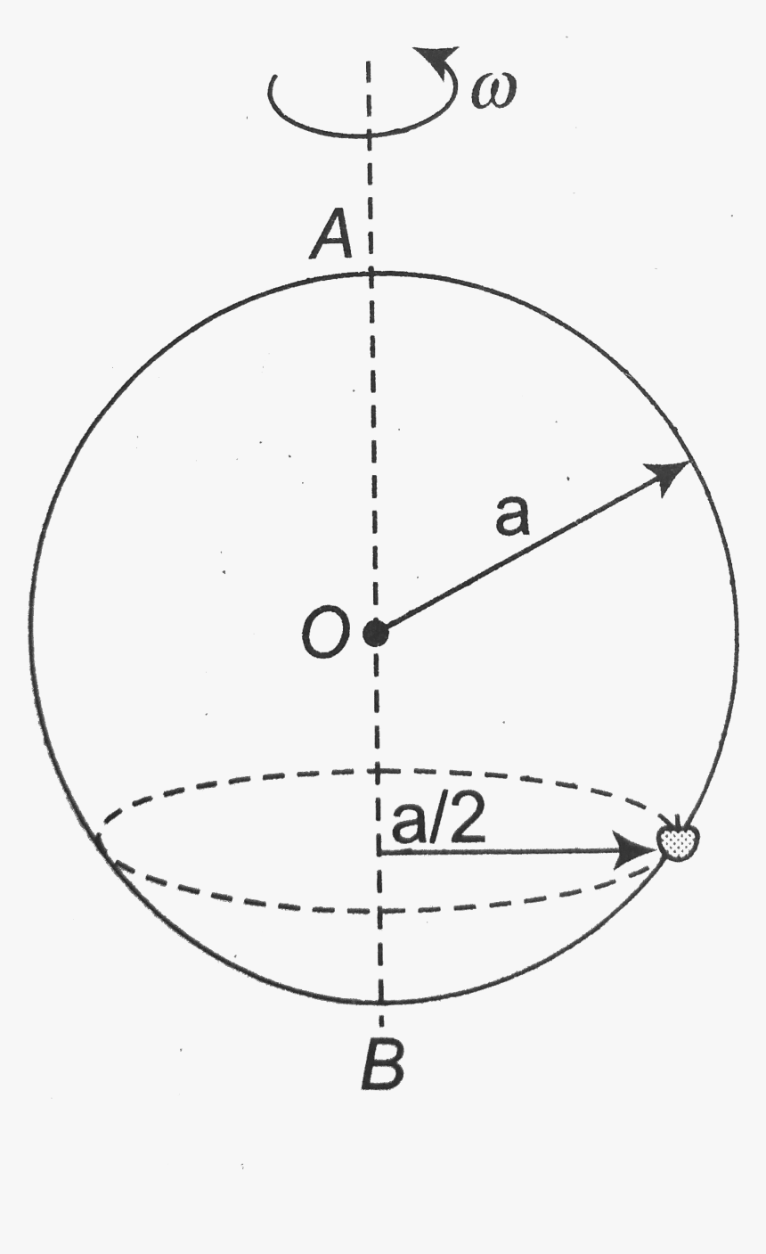 Circle, HD Png Download