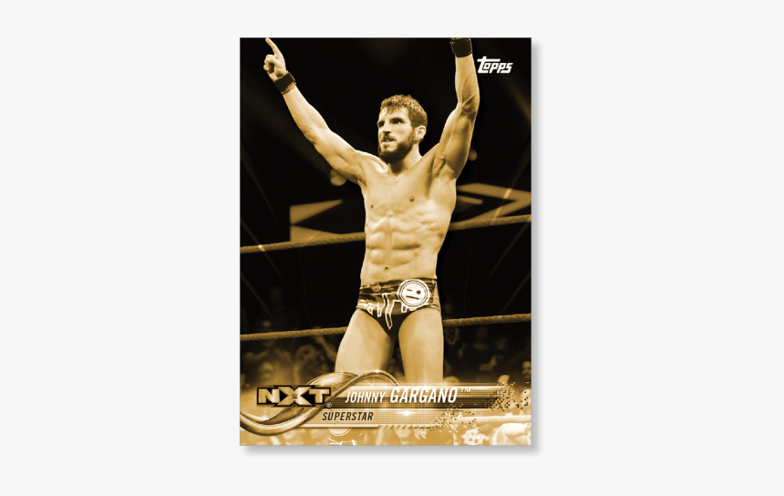 Johnny Gargano Wins A Match, HD Png Download