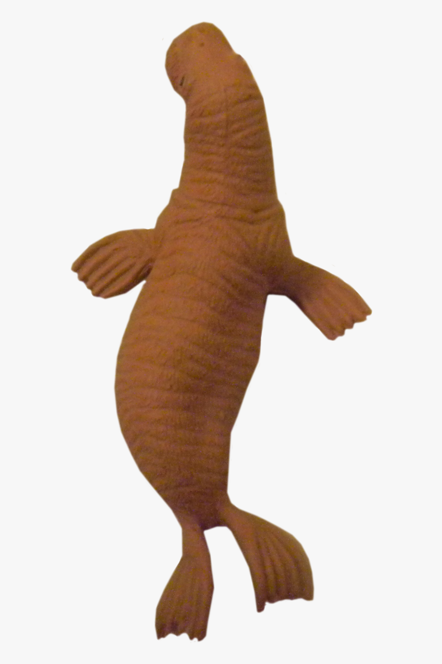 Download Walrus Png Clipart, Transparent Png