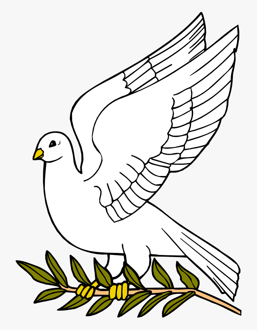 Free Outline Of Download Clip Art On Dove- - Dove With Olive Leaf, HD Png Download