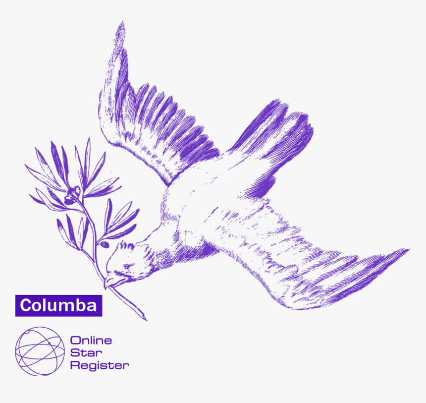 Perching Bird, HD Png Download