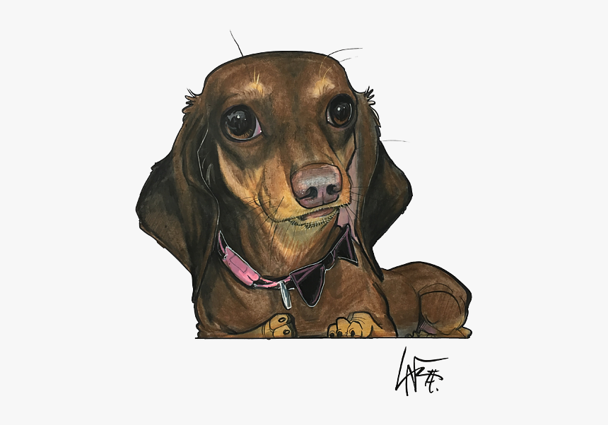 Dachshund, HD Png Download