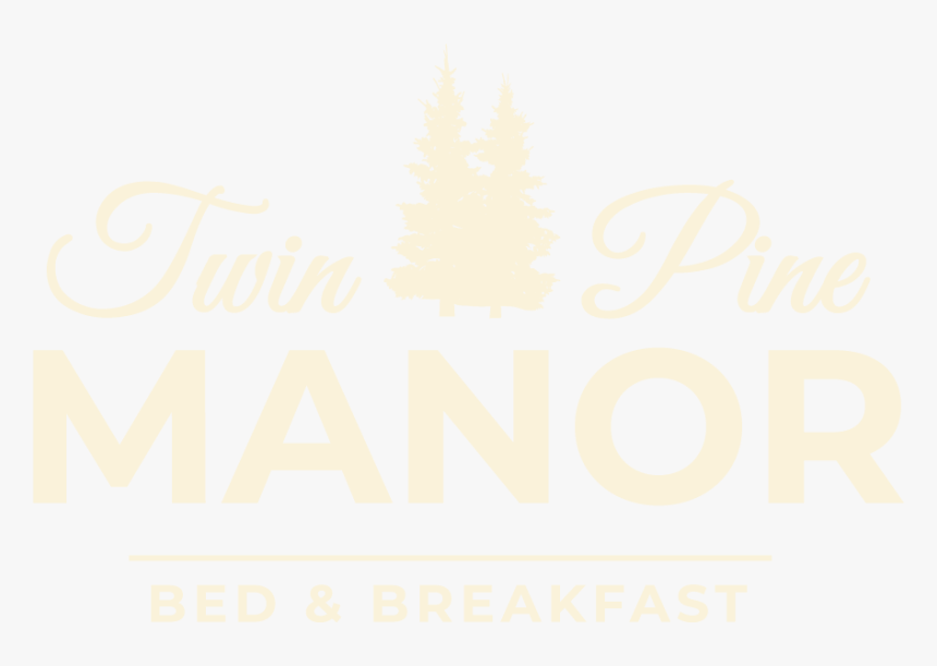 Transparent Pine Tree Top View Png - Christmas Tree, Png Download