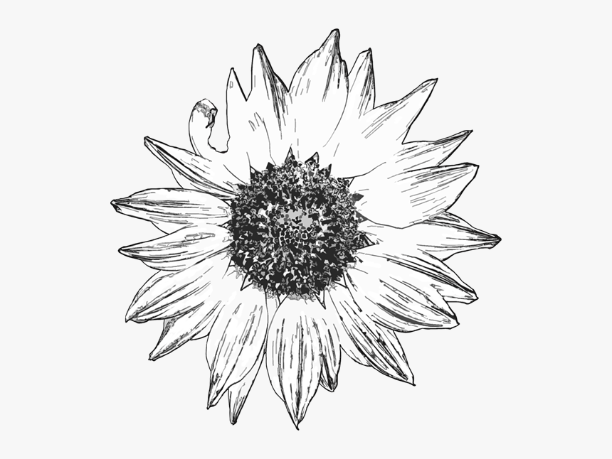 Free Digital Stamps, HD Png Download