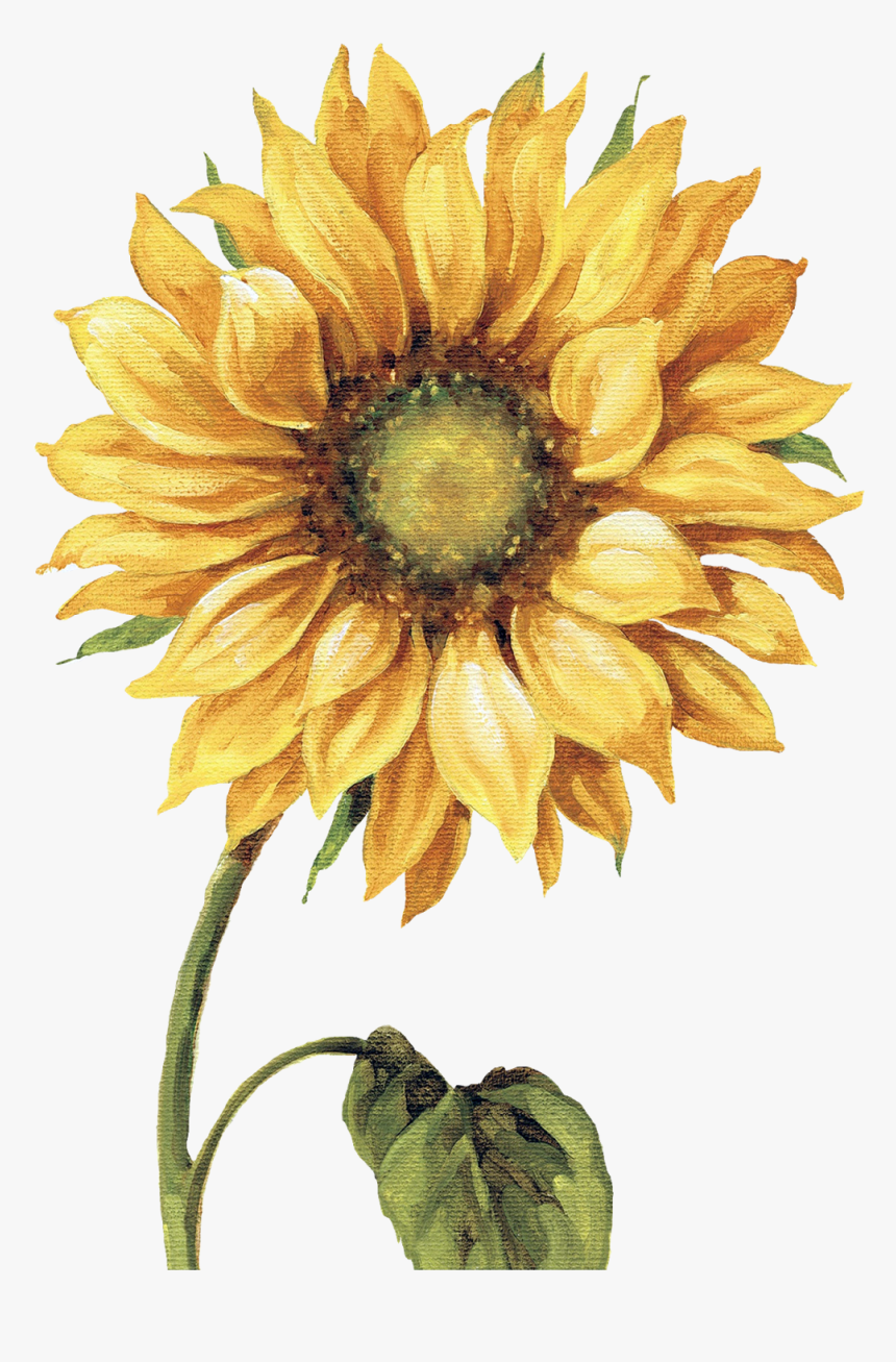 Sunflowers Png Painted - Sunflower Painting Png, Transparent Png