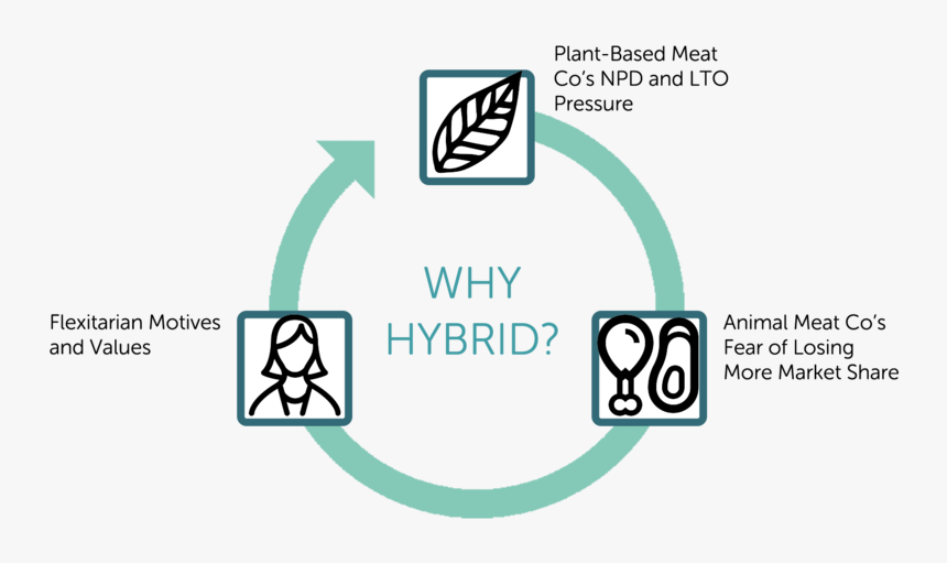 Hybr#drivers - Circle, HD Png Download
