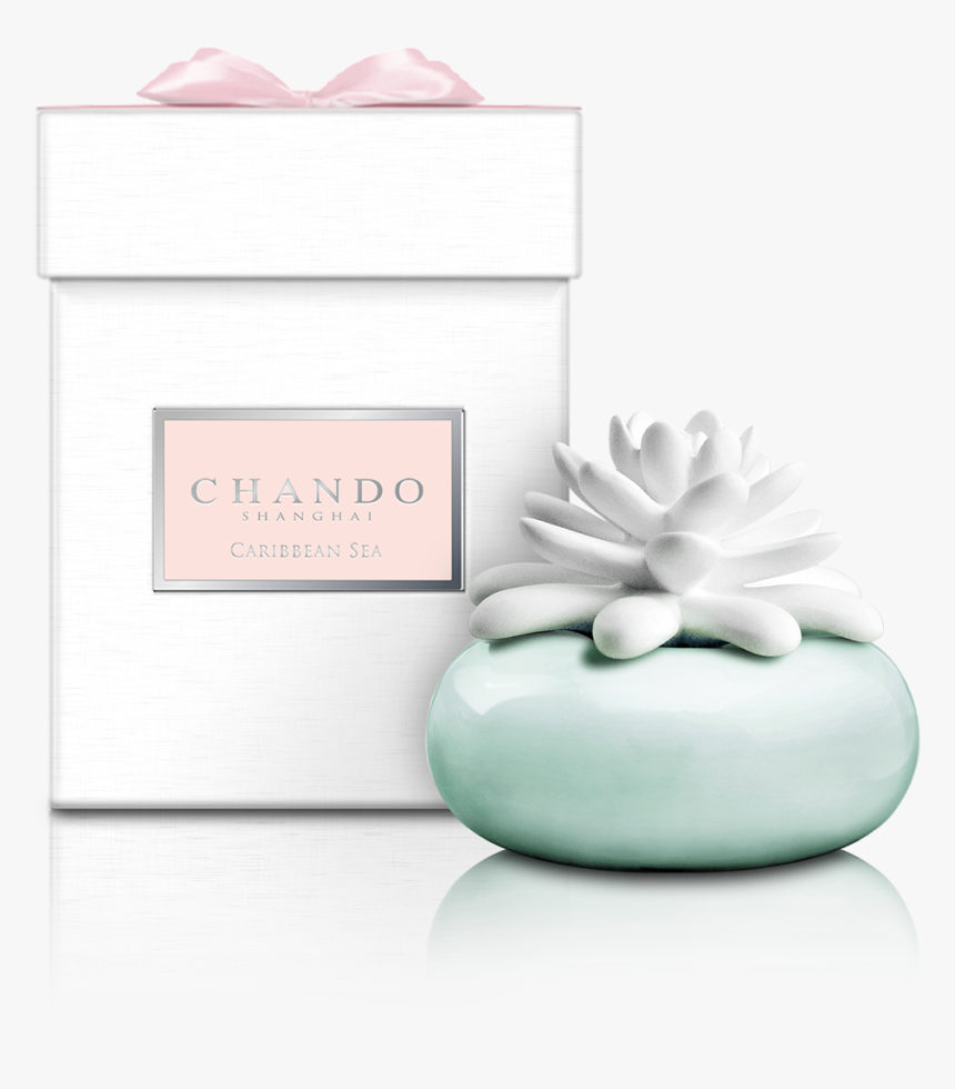 Chando Porcelánový Aroma Difuzér Bílý Mini Kaktus, HD Png Download