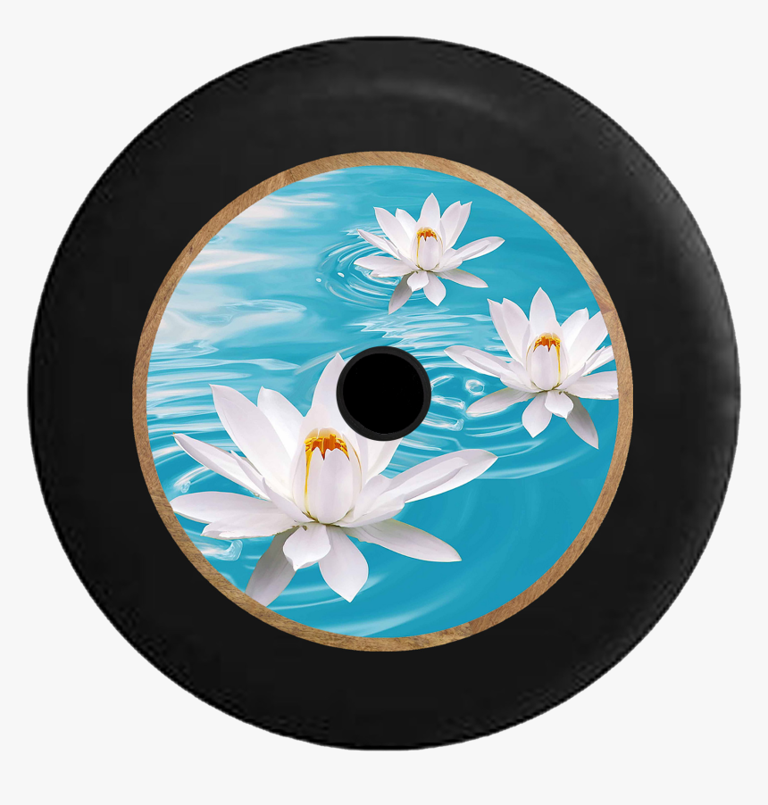 Jeep Wrangler Jl Backup Camera White Lotus Blossom - White Lotus Flower, HD Png Download
