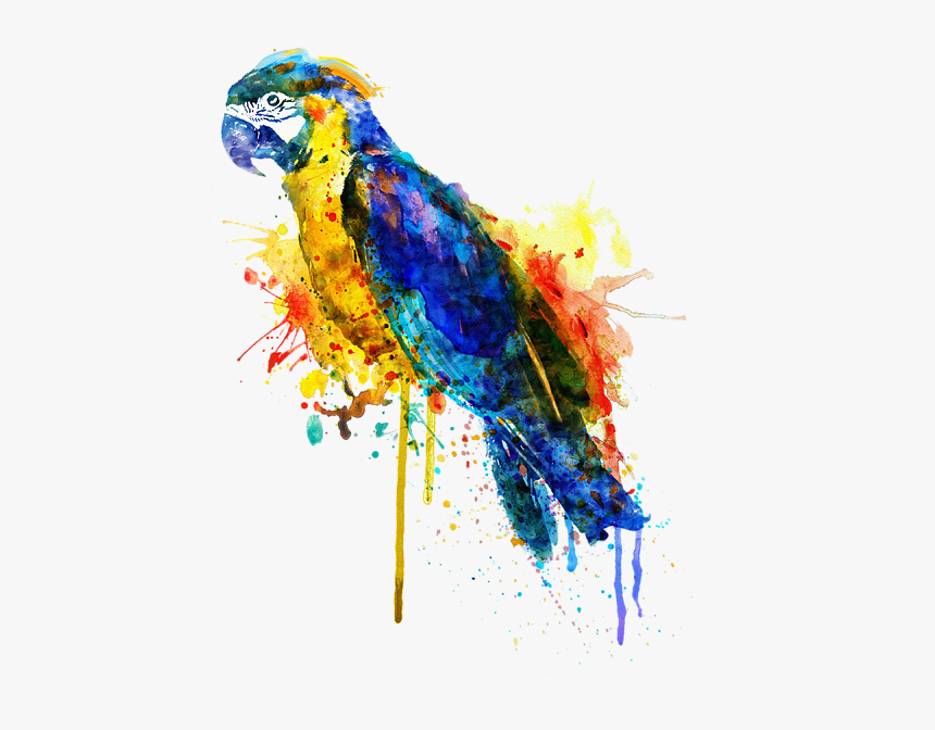 Parrot Watercolor Painting, HD Png Download
