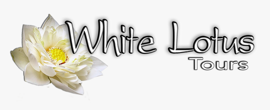 Sacred Lotus, HD Png Download