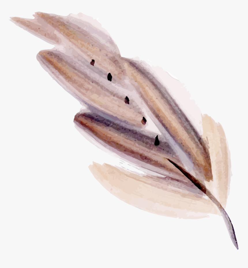 Fish, HD Png Download