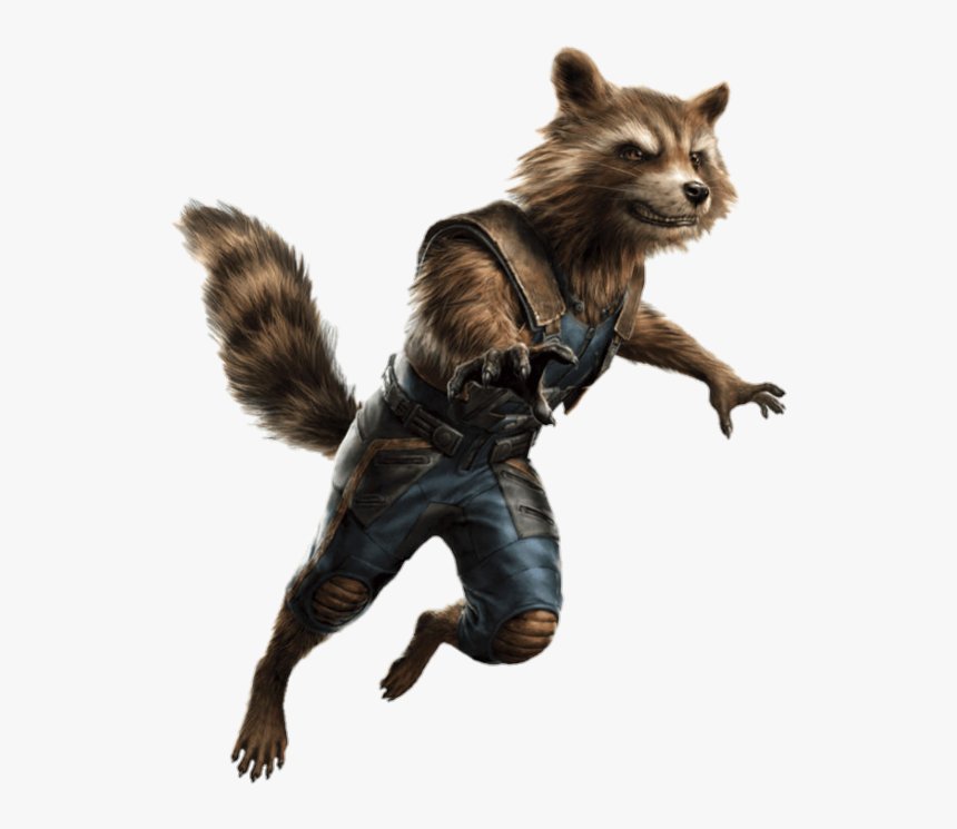 No Caption Provided - Rocket Raccoon Png, Transparent Png