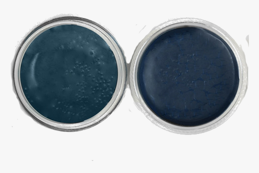 Earrings, HD Png Download