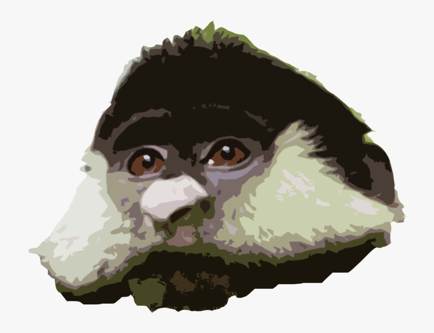 Rtface - Monkey, HD Png Download