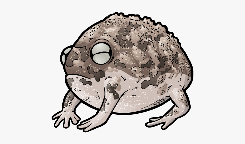 Desert Rain Frog No Background, HD Png Download