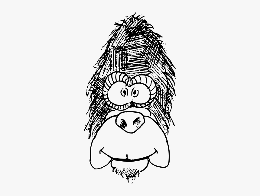 Monkey Sketch - Algebraic Function, HD Png Download
