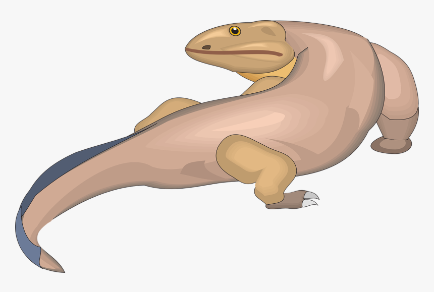 Ichthyostega Clipart, HD Png Download