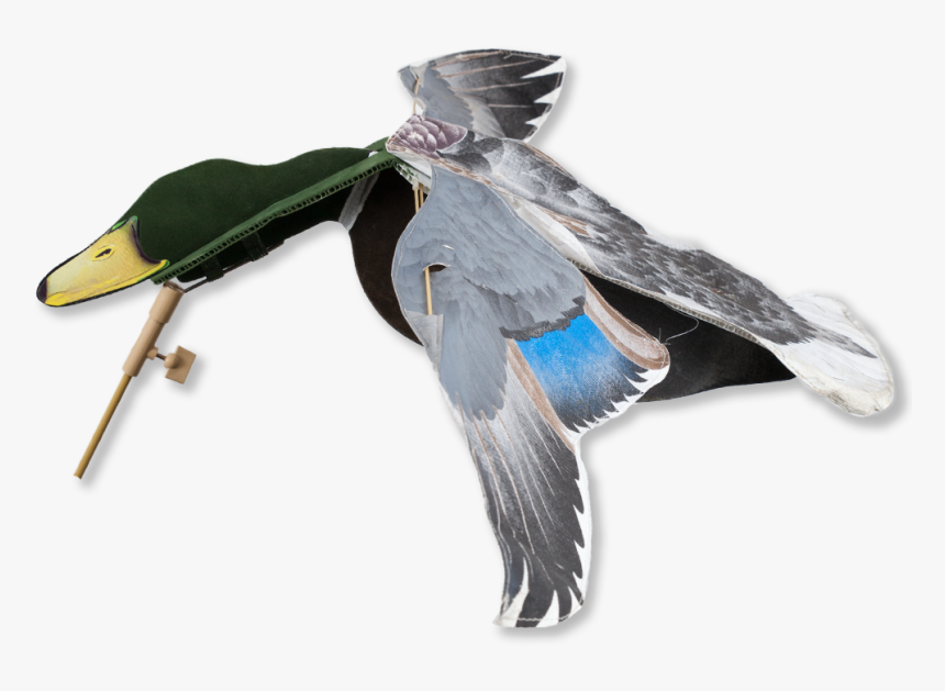 Image Of The Sillosocks Mallard Flapper - Sillosocks Mallard Flapper, HD Png Download