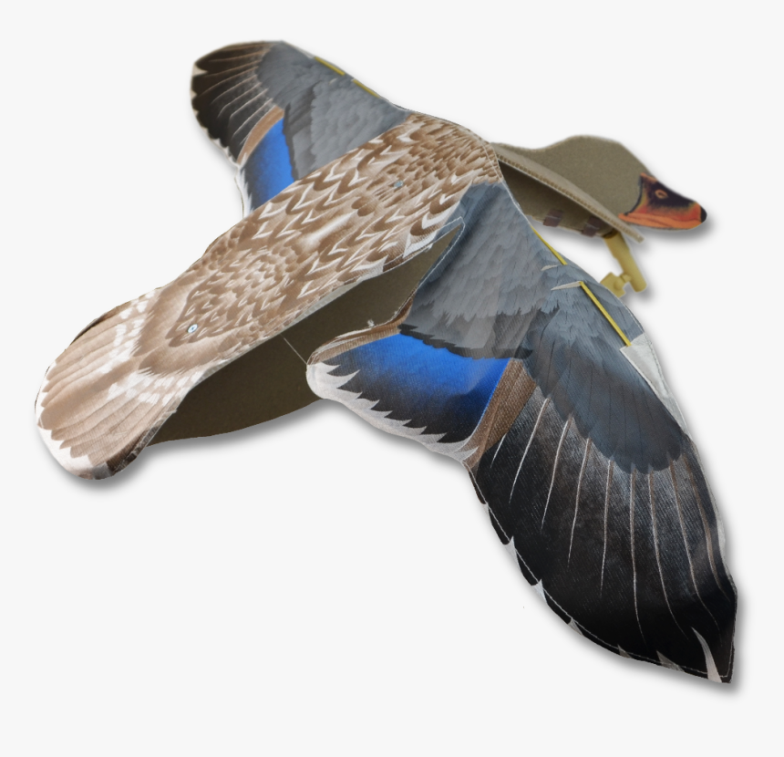 Image Of The Sillosocks Hen Flapper, HD Png Download