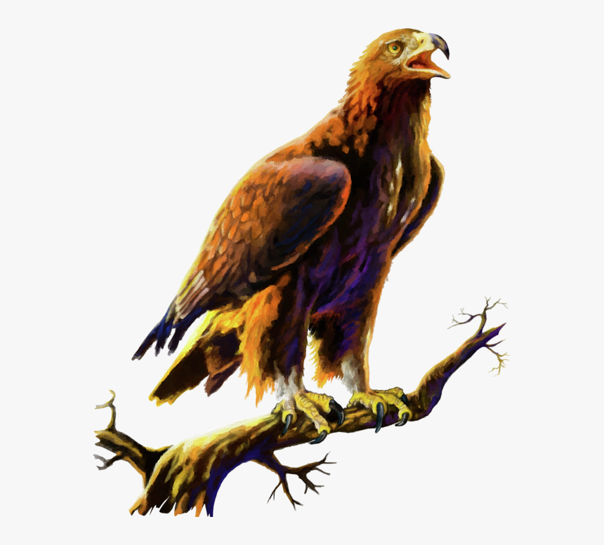 Canvas Paintings Of Golden Eagles, HD Png Download