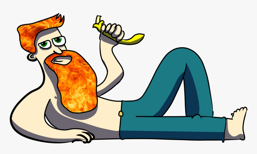 Zebra - Drawing, HD Png Download