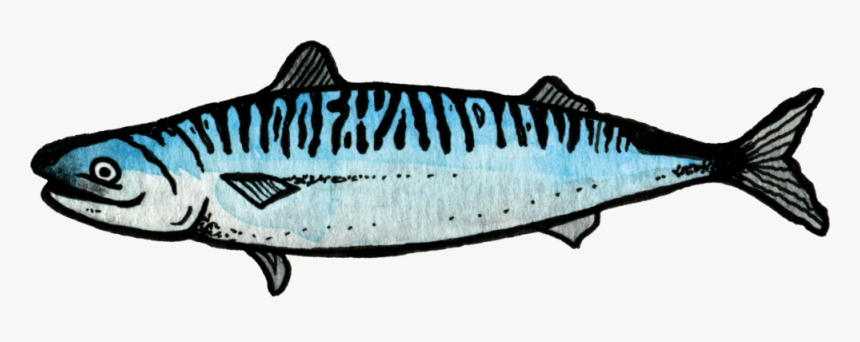 Salmon - Mackerel, HD Png Download