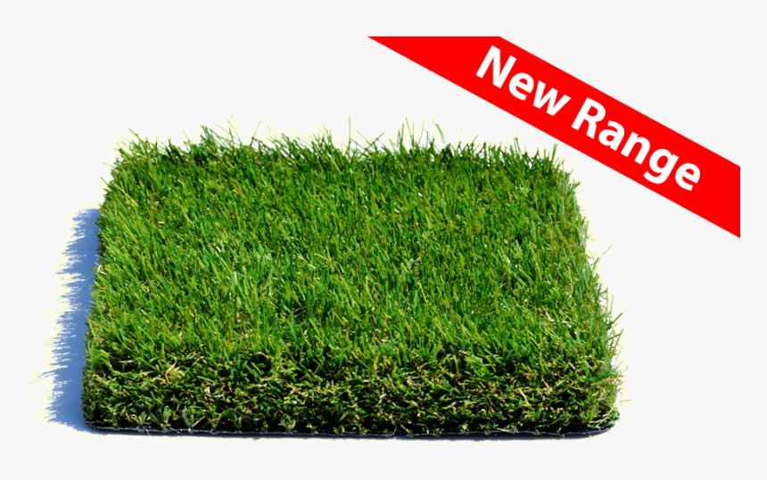 Moran - Lawn, HD Png Download