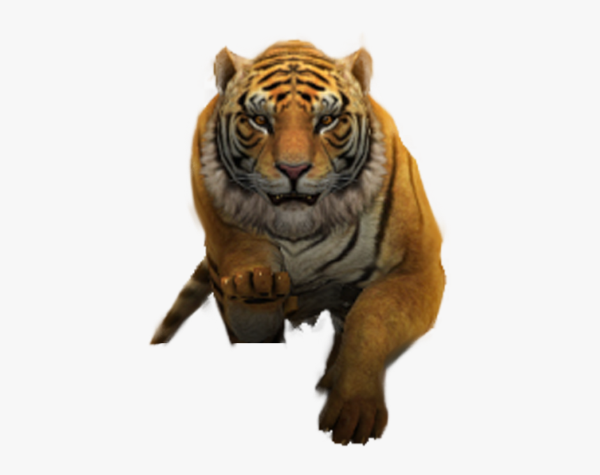 Siberian Tiger, HD Png Download