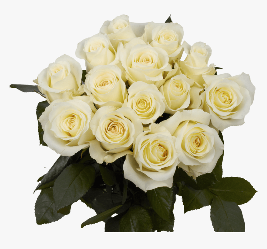 White Roses For Sale Freshest Anastacia Roses - Floribunda, HD Png Download