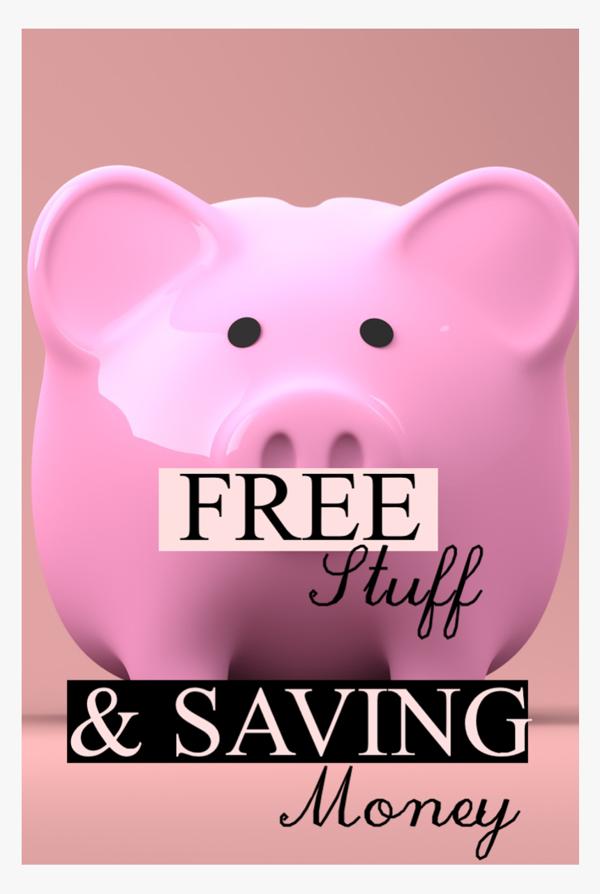 Domestic Pig, HD Png Download