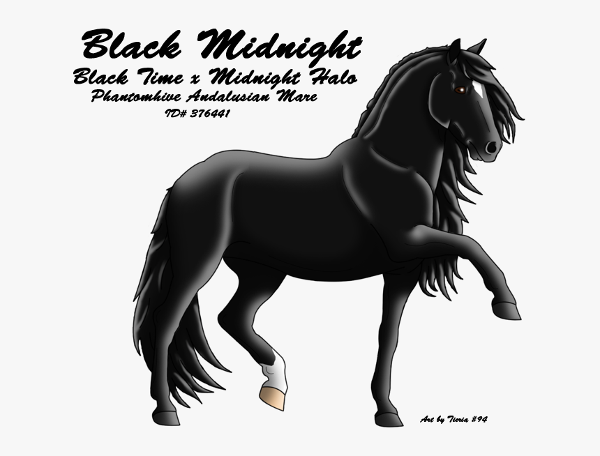 Stallion, HD Png Download