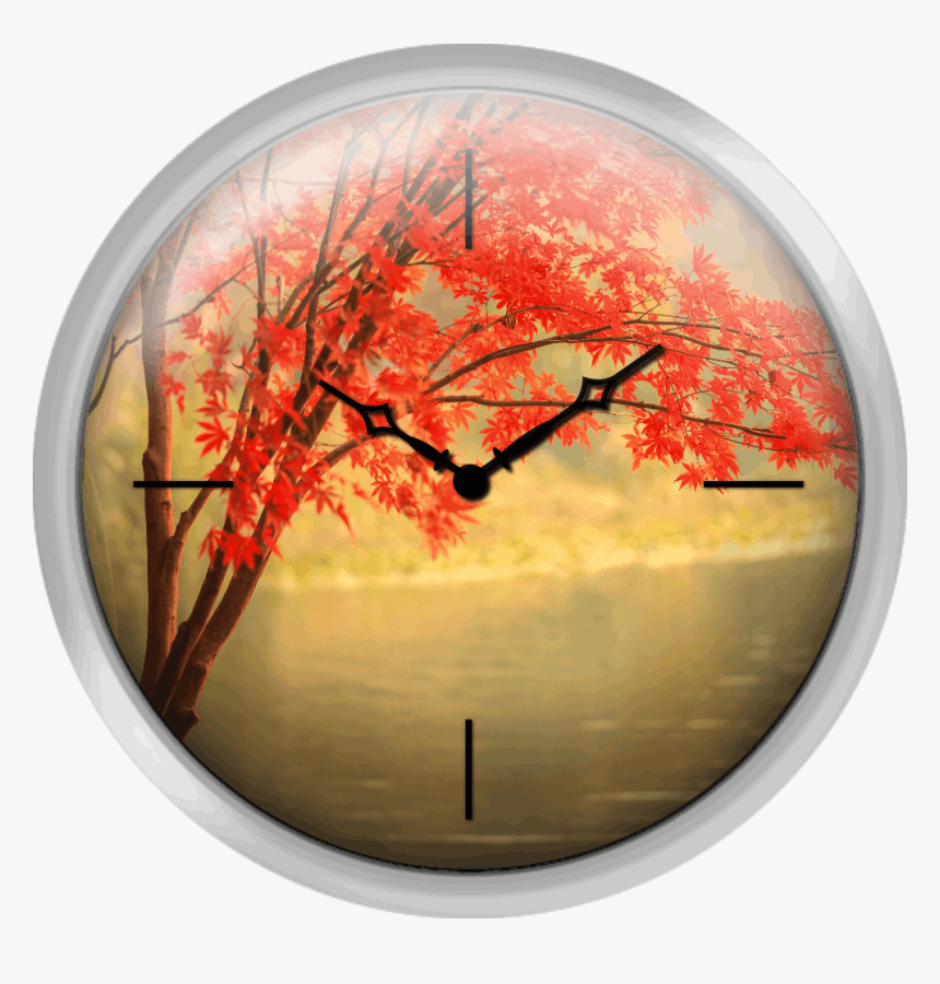 Red Maple Besides River - Circle, HD Png Download
