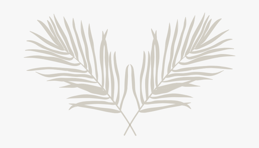 Decoration Icon - Emblem, HD Png Download