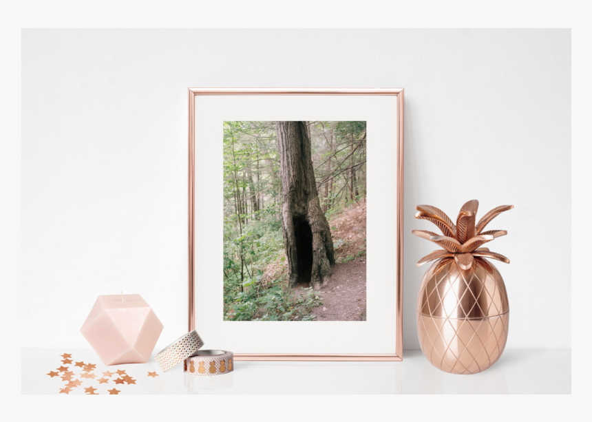 Perfect Setup For Prints - Insect, HD Png Download