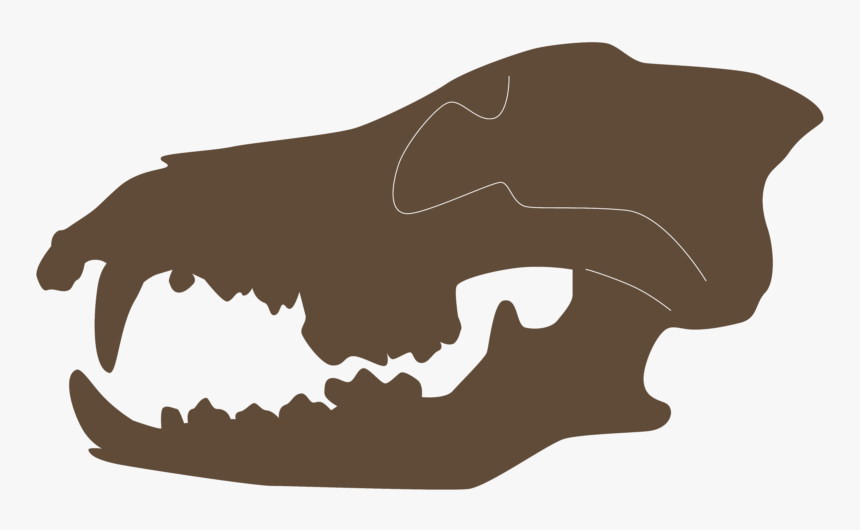 Skull, HD Png Download