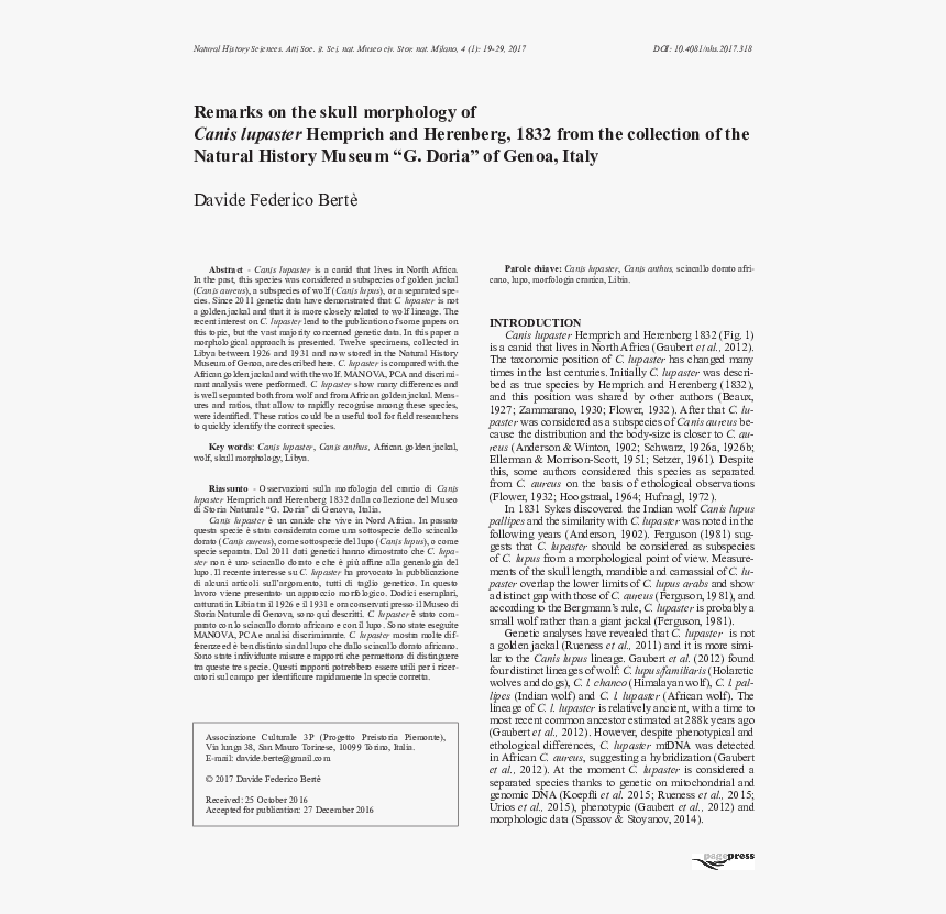 Document, HD Png Download