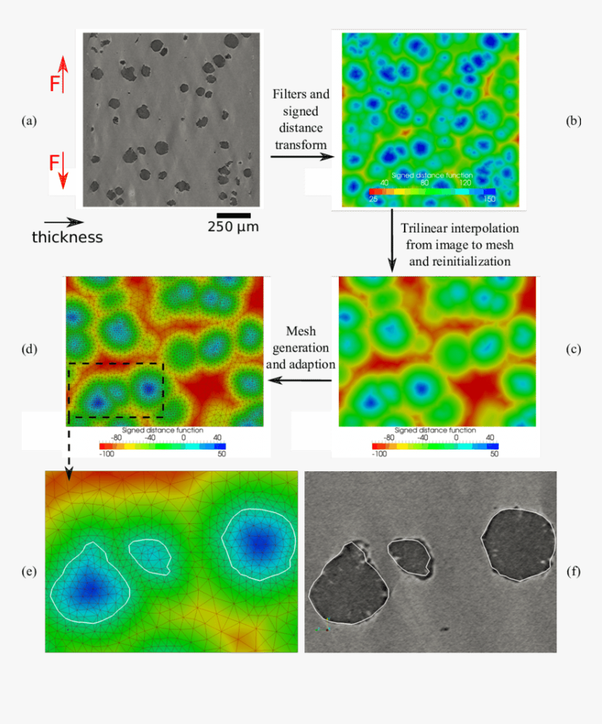 Circle, HD Png Download