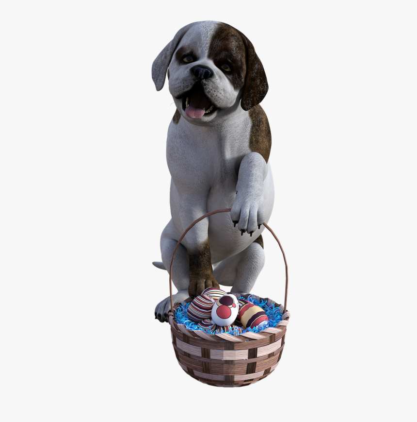 Boxer, HD Png Download